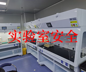 無管道凈氣型通風(fēng)柜是否真的安全無憂？